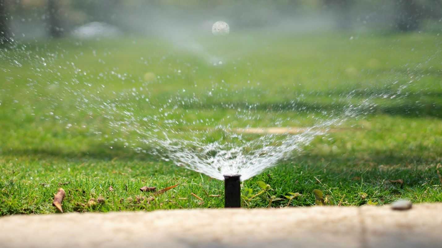 A water sprinkler head in the foreground sprays a wide, fan-like mist of water across a vibrant green lawn. A concrete edge is visible at the bottom, and the background is softly blurred.
